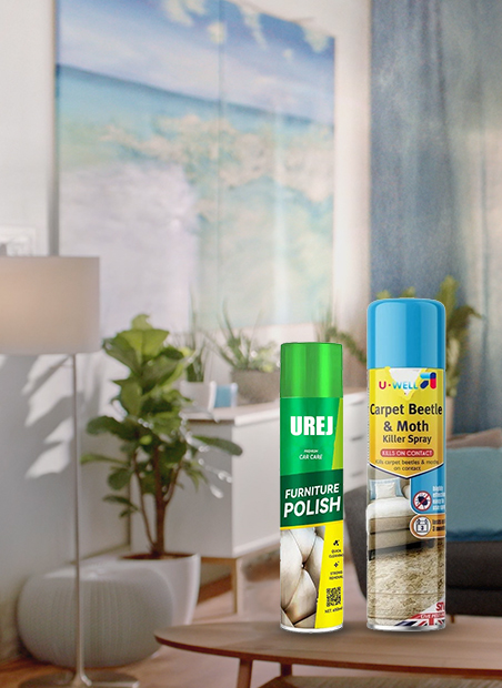 Household Clean Aerosol